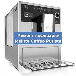 Чистка кофемашины Melitta Caffeo Purista от кофейных масел в Нижнем Новгороде